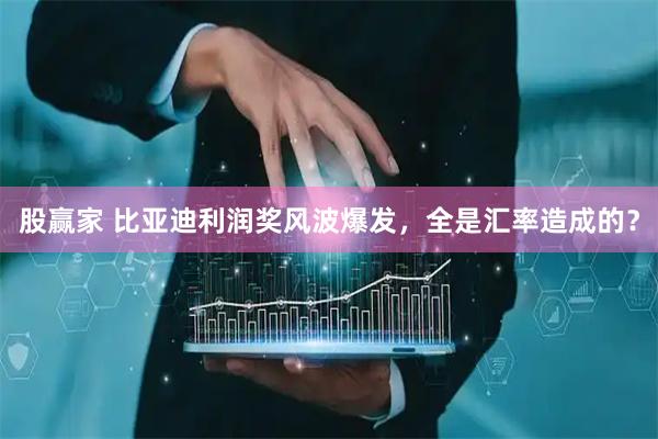股赢家 比亚迪利润奖风波爆发，全是汇率造成的？