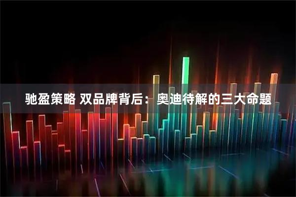 驰盈策略 双品牌背后：奥迪待解的三大命题