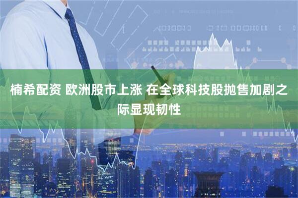 楠希配资 欧洲股市上涨 在全球科技股抛售加剧之际显现韧性