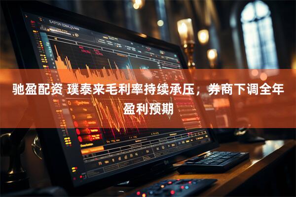 驰盈配资 璞泰来毛利率持续承压，券商下调全年盈利预期