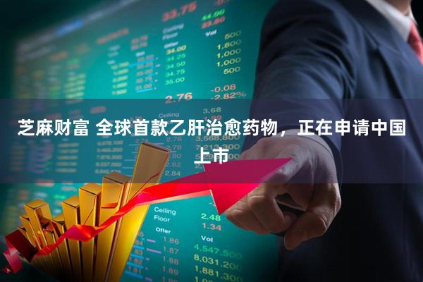 芝麻财富 全球首款乙肝治愈药物，正在申请中国上市